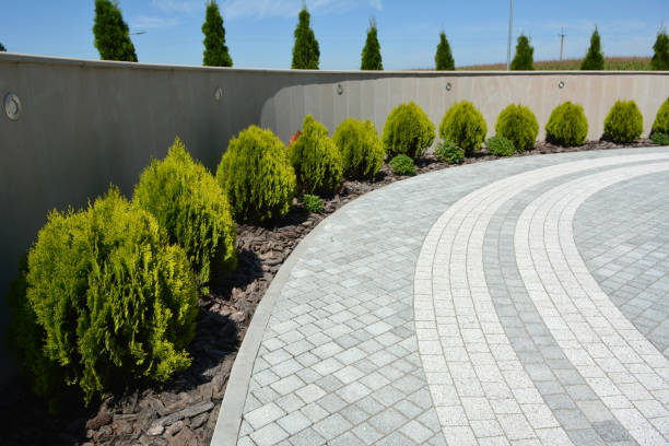 Best Driveway Paving Contractor  in Perry Park, CO